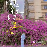 小区门口惊现🌺三角梅“瀑布”墙