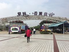 门面-紫颐香薰山谷景区