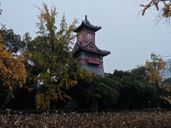 -四川大学(华西校区)