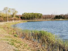 -大兴滨河森林公园