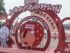 -上海长兴岛郊野公园