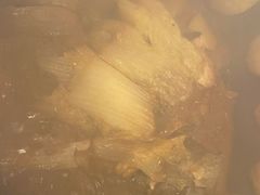 -王老六铁锅炖鱼(圣亚海洋店)