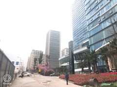 -棕榈MALL