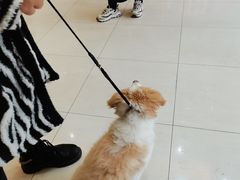 -惠康宠物医院(华能路店)