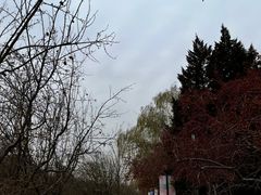 -元大都城垣遗址公园