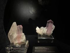 -深圳珠宝博物馆