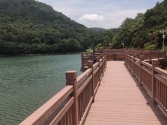 -桃花岭景区