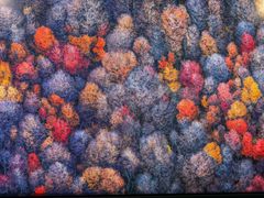 -罗红摄影艺术馆