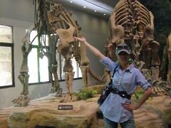 -自贡恐龙博物馆