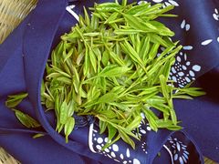 -龙坞茶村