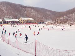 景点-五家山森林公园滑雪场