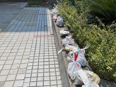 -西南政法大学(渝北校区)