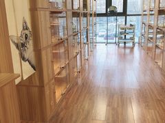 -猫十亿·布偶金渐层·曼基康矮脚猫舍(青年路店)