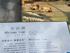 -柳州市动物园