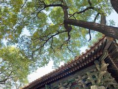-北京国子监胡同