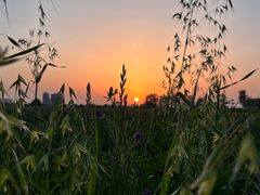 -汉长安城未央宫国家考古遗址公园