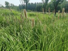 -汉长安城未央宫国家考古遗址公园