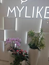 -深圳美莱医疗美容医院