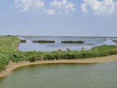 -盐城丹顶鹤湿地生态旅游区
