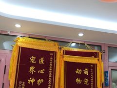 -全心全意连锁动物医院·微创中心·内科急重症·心脏专科(丰管路店)