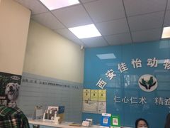 -佳怡动物医院·平价24小时·猫专科骨外科