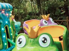 -南宫五洲植物乐园