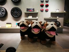 -上海普陀宝诚MINI4S店(红柳路店)
