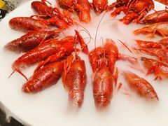 -红盔甲·小龙虾(人民广场店)
