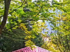 -黄村公园
