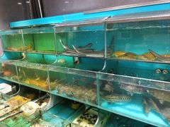 -顺德佬华侨城店·商务宴请·团建