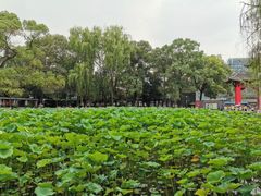 -四川大学(望江校区)