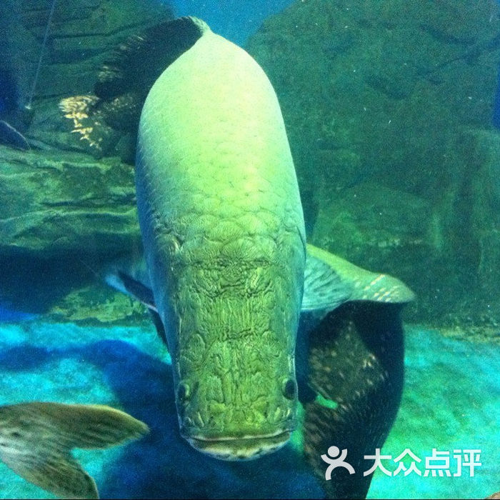 北京自然博物馆