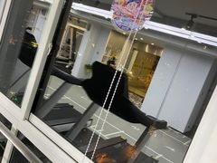 -GymPlus健身(四平路店)