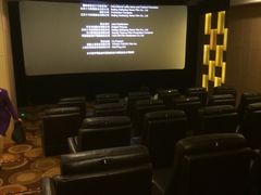 兰生典尚影院-中影国际影城(兰生大厦CINITY LED店)