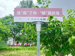 -御林古桑园
