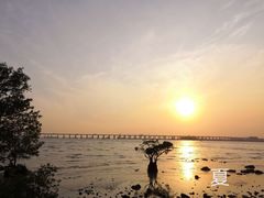 -宝安西湾红树林湿地公园