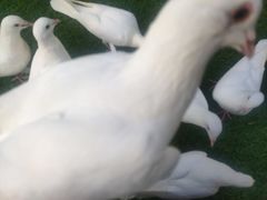 -IPARK购物中心
