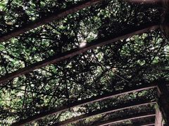 -重庆医科大学附属第一医院(金山院区)