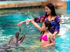 游乐设施-波塞冬旅游度假区