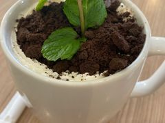 盆栽奶茶-仙踪林(北展店)