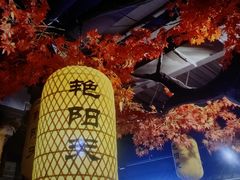 -艳阳天民俗村(公园路店)