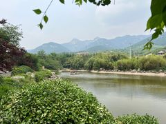 -鲁山国家森林公园