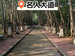 -广东茂名森林公园