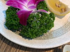 -酒井酱子·深夜食堂(东城汇店)