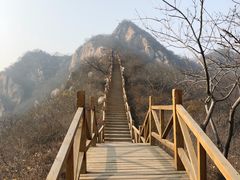 -大岭沟猕猴桃谷风景区