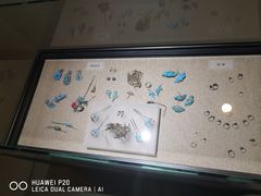 -烟台市博物馆