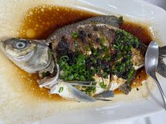 油榄蒸边鱼-鹿鸣酒家(越秀店)
