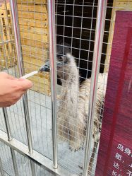 -萌宠亲子动物乐园(槐房万达店)