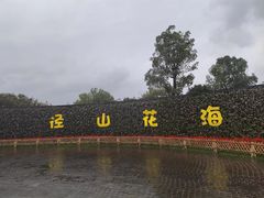 -径山花海