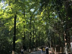 -景德镇古窑民俗博览区